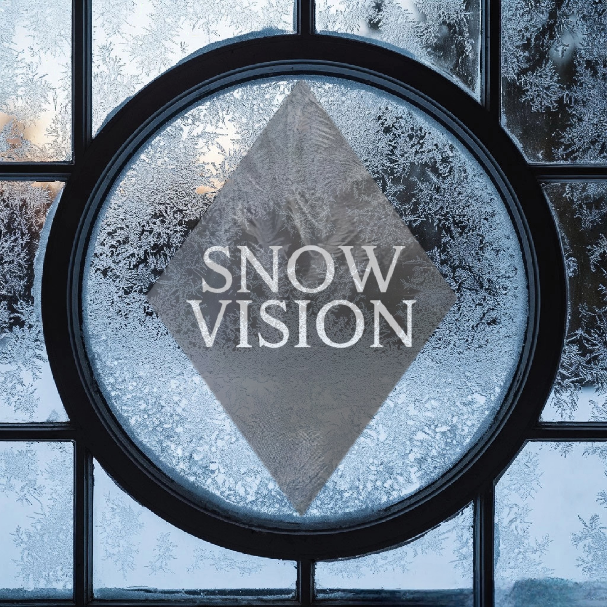 Snow Vision